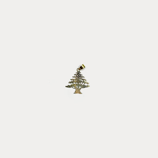 Cedro Oro 18K (LARGE) - PREORDER 3 WEEKS