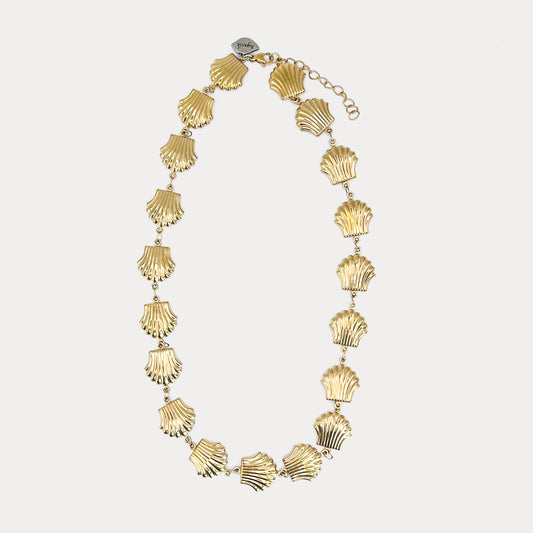 Seashells Necklace